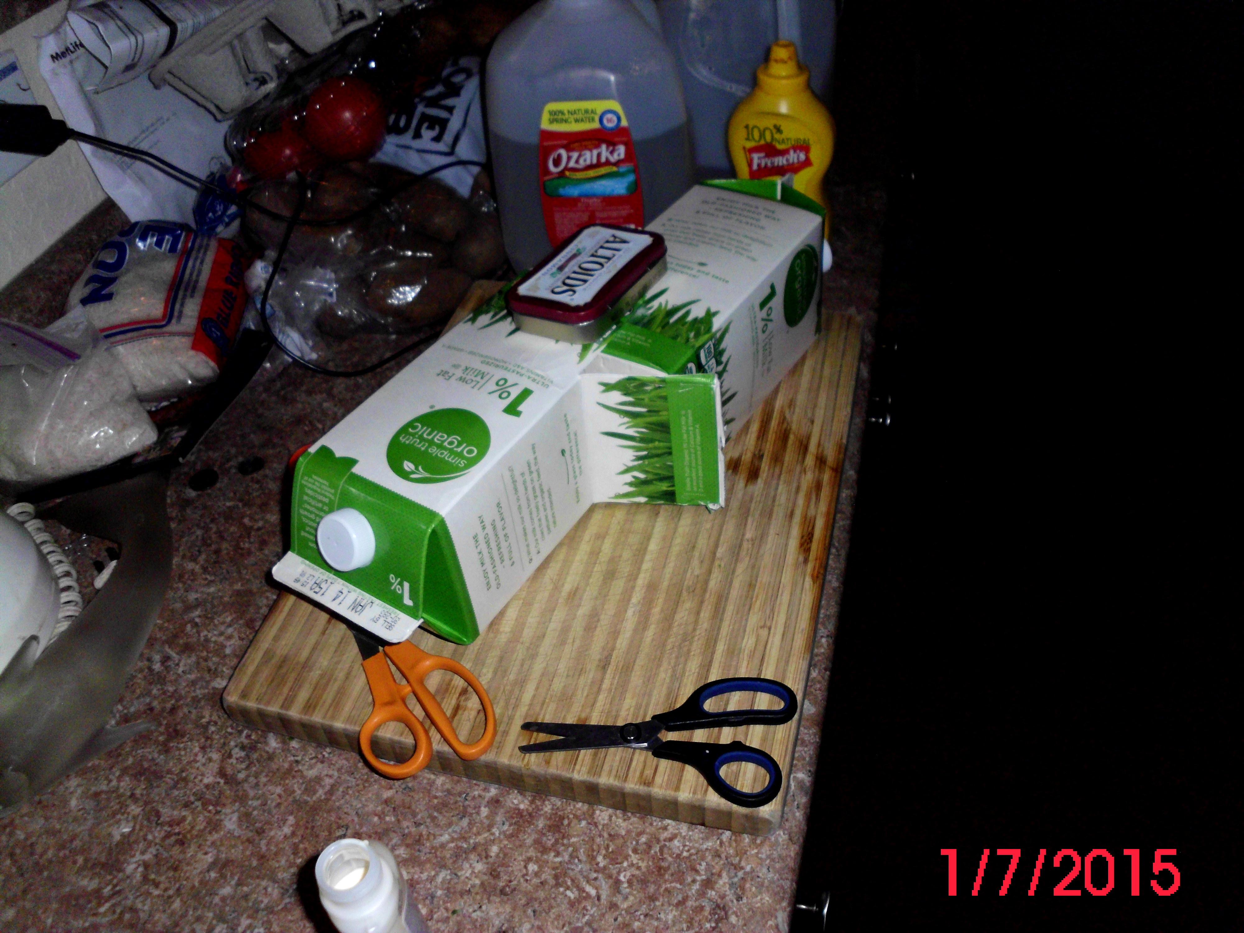 Papercraft, Scratch Build, Thunderhawk, Work In Progress Milk Carton